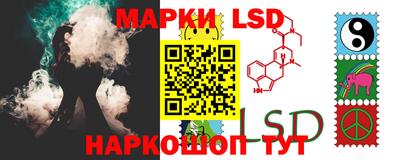 амф Гатчина