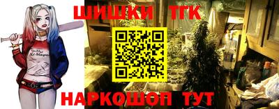 амф Гатчина