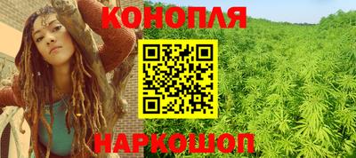 амф Гатчина