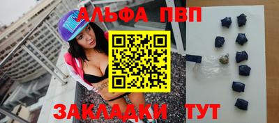 амф Гатчина